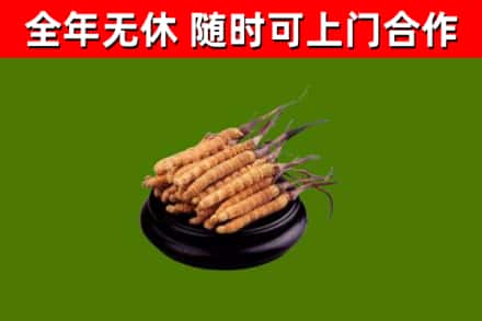 泽普县烟酒回收冬虫夏草.jpg